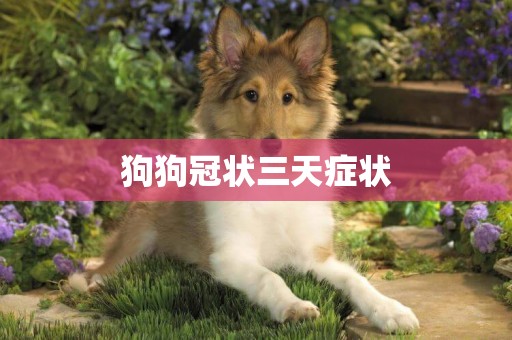 狗狗冠狀三天癥狀