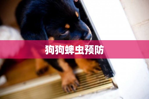 狗狗蜱蟲預防