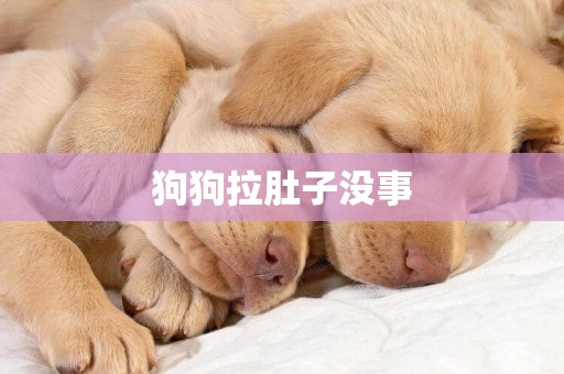 狗狗拉肚子沒事
