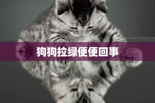 狗狗拉綠便便回事