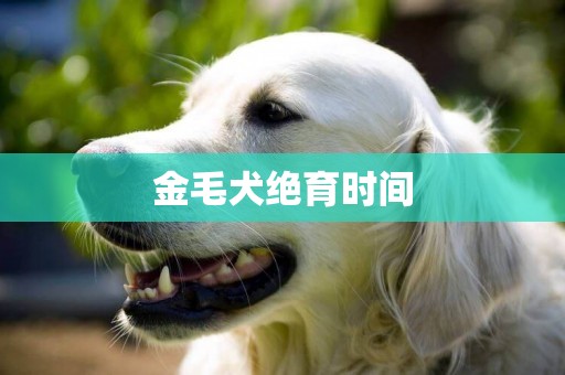金毛犬絕育時間