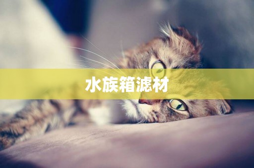 水族箱濾材