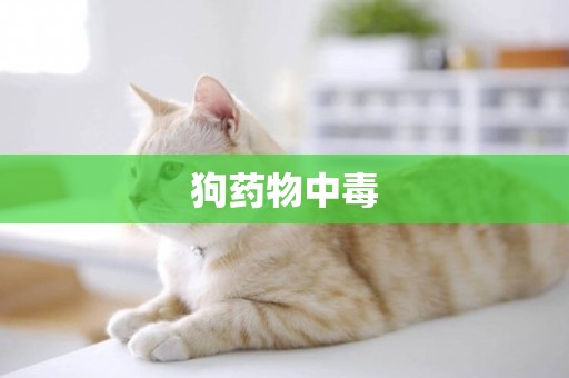 狗藥物中毒