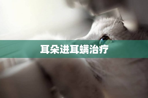 耳朵進耳螨治療