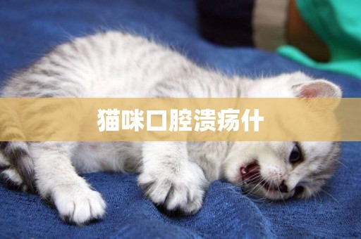 貓咪口腔潰瘍什