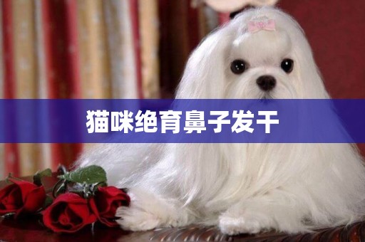 貓咪絕育鼻子發干