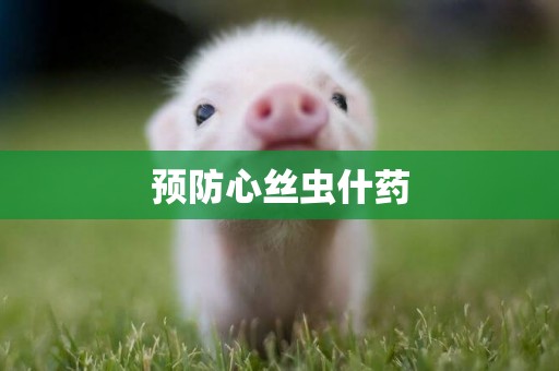 預防心絲蟲什藥