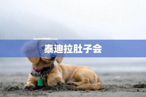 泰迪拉肚子會