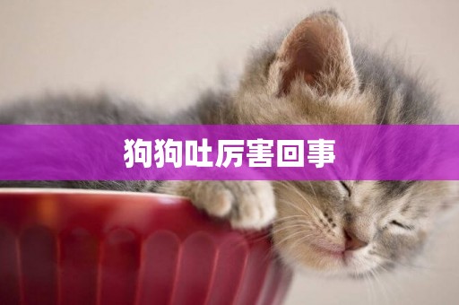 狗狗吐厲害回事