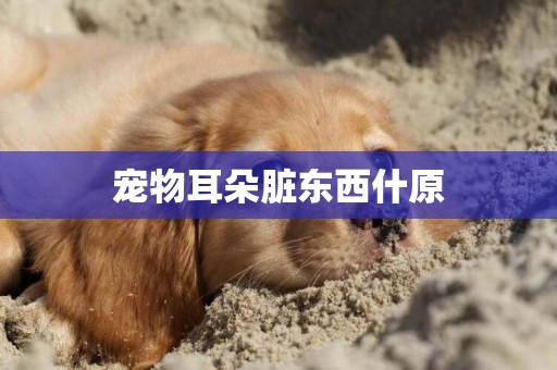 寵物耳朵臟東西什原