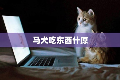 馬犬吃東西什原