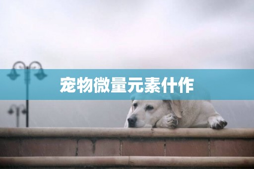 寵物微量元素什作