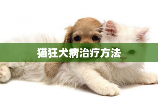 貓狂犬病治療方法