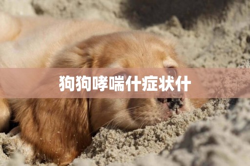 狗狗哮喘什癥狀什