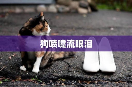 狗噴嚏流眼淚
