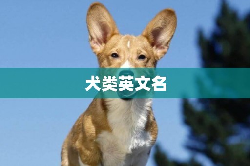 犬類英文名