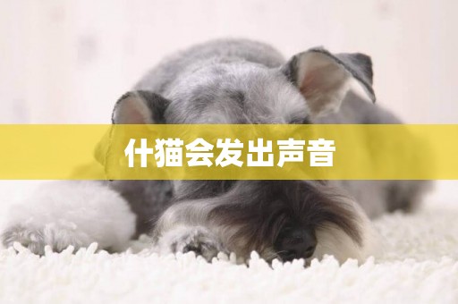 什貓會發出聲音