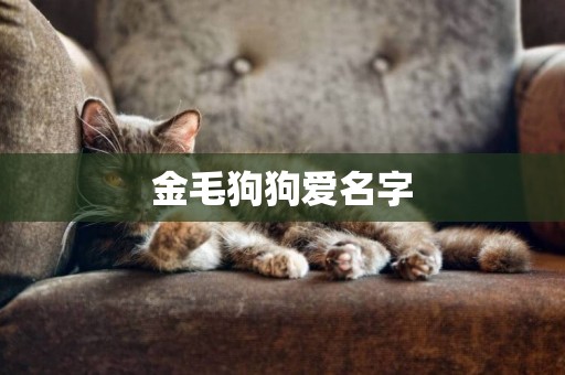金毛狗狗愛名字