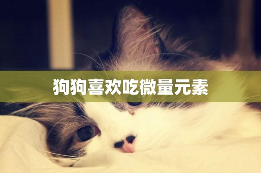狗狗喜歡吃微量元素