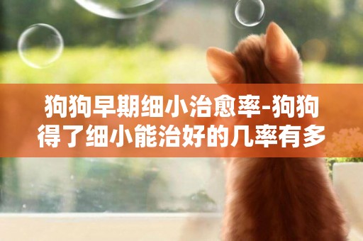 狗狗早期細小治愈率-狗狗得了細小能治好的幾率有多大