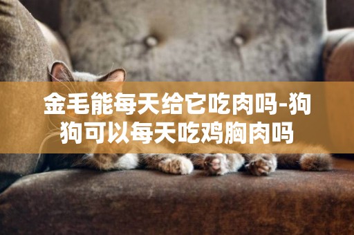 金毛能每天給它吃肉嗎-狗狗可以每天吃雞胸肉嗎