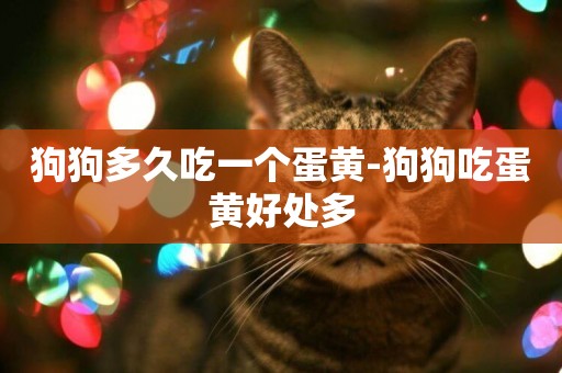 狗狗多久吃一個蛋黃-狗狗吃蛋黃好處多