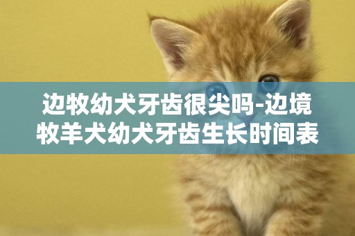 邊牧幼犬牙齒很尖嗎-邊境牧羊犬幼犬牙齒生長時間表