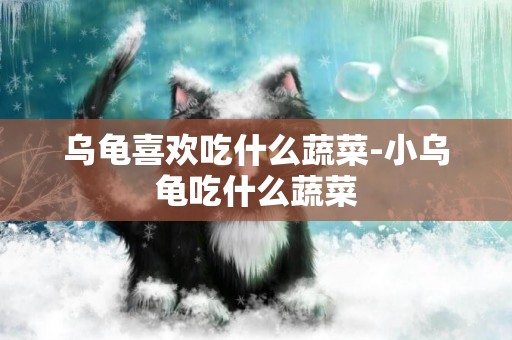 烏龜喜歡吃什么蔬菜-小烏龜吃什么蔬菜