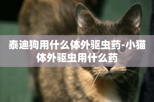 泰迪狗用什么體外驅蟲藥-小貓體外驅蟲用什么藥