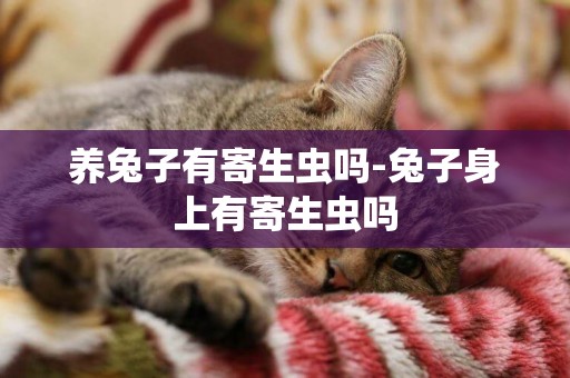 養兔子有寄生蟲嗎-兔子身上有寄生蟲嗎
