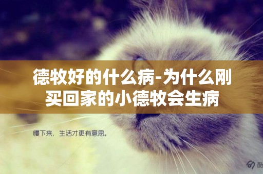 德牧好的什么病-為什么剛買回家的小德牧會生病
