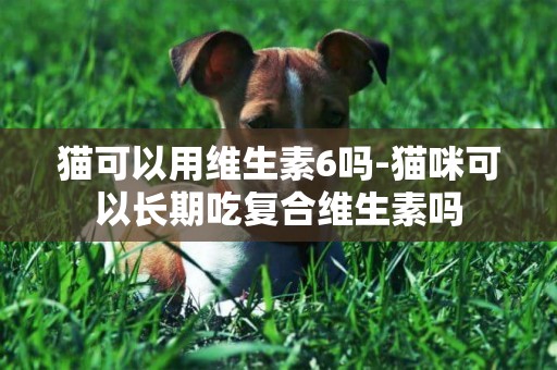 貓可以用維生素6嗎-貓咪可以長期吃復合維生素嗎