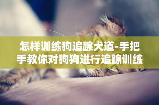 怎樣訓練狗追蹤犬道-手把手教你對狗狗進行追蹤訓練