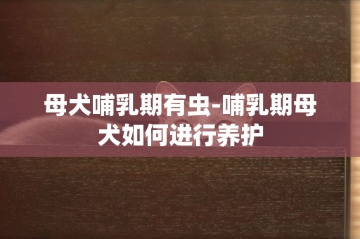 母犬哺乳期有蟲-哺乳期母犬如何進行養護