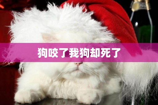 狗咬了我狗卻死了