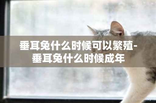 垂耳兔什么時候可以繁殖-垂耳兔什么時候成年