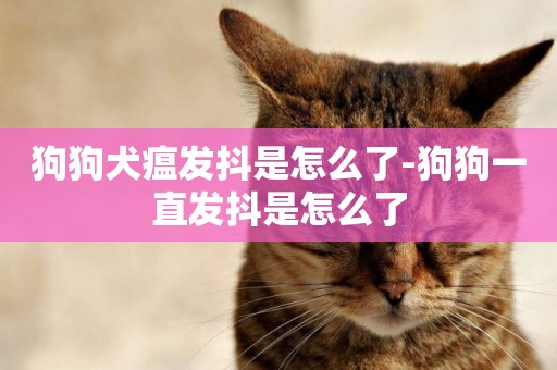 狗狗犬瘟發抖是怎么了-狗狗一直發抖是怎么了