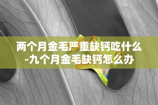 兩個月金毛嚴重缺鈣吃什么-九個月金毛缺鈣怎么辦
