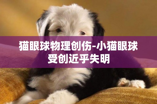 貓眼球物理創傷-小貓眼球受創近乎失明