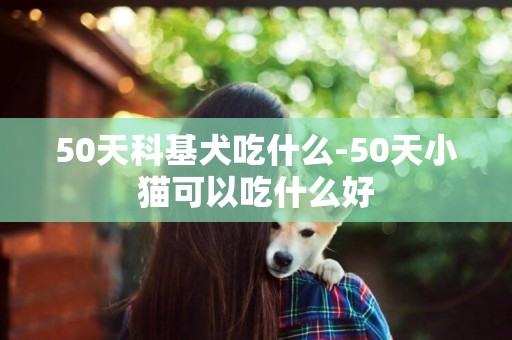 50天科基犬吃什么-50天小貓可以吃什么好