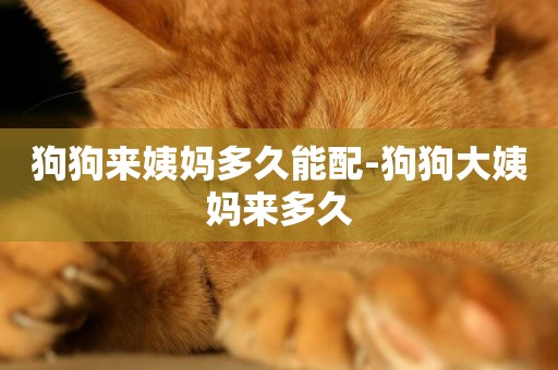 狗狗來姨媽多久能配-狗狗大姨媽來多久