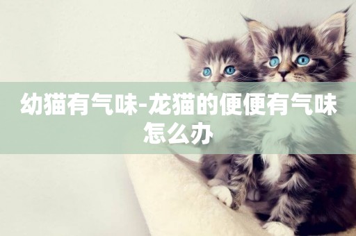 幼貓有氣味-龍貓的便便有氣味怎么辦