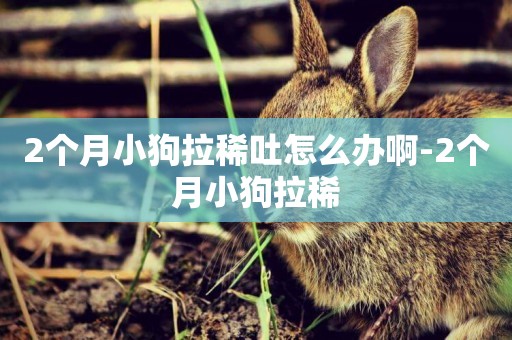2個月小狗拉稀吐怎么辦啊-2個月小狗拉稀