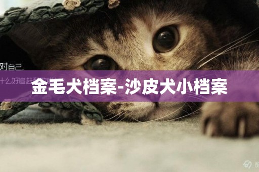 金毛犬檔案-沙皮犬小檔案