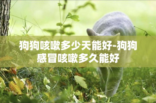 狗狗咳嗽多少天能好-狗狗感冒咳嗽多久能好
