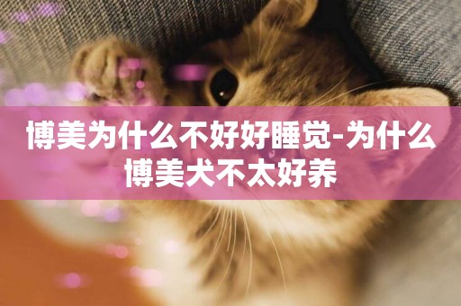 博美為什么不好好睡覺-為什么博美犬不太好養