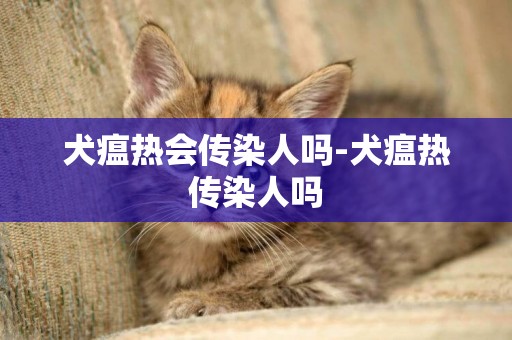 犬瘟熱會傳染人嗎-犬瘟熱傳染人嗎
