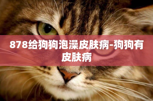 878給狗狗泡澡皮膚病-狗狗有皮膚病