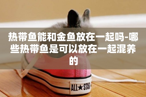 熱帶魚能和金魚放在一起嗎-哪些熱帶魚是可以放在一起混養的