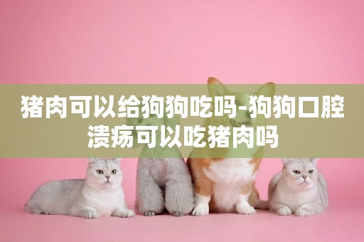 豬肉可以給狗狗吃嗎-狗狗口腔潰瘍可以吃豬肉嗎